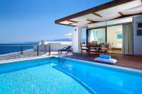 Executive One-Bedroom Suite mit Pool Executive One-Bedroom Suite mit Pool